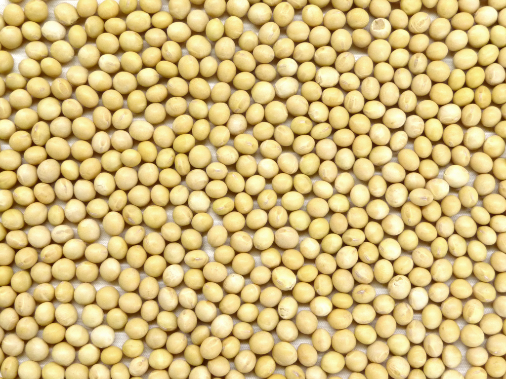 国産有機全粒きな粉&nbsp;100g